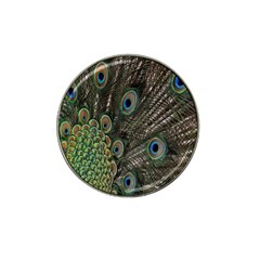 Close Up Of Peacock Feathers Hat Clip Ball Marker by Nexatart