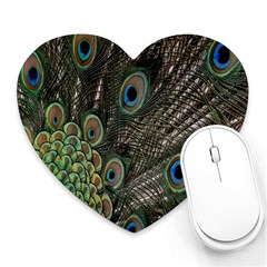 Close Up Of Peacock Feathers Heart Mousepads by Nexatart