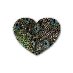 Close Up Of Peacock Feathers Heart Coaster (4 Pack) 