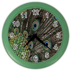 Close Up Of Peacock Feathers Color Wall Clocks by Nexatart