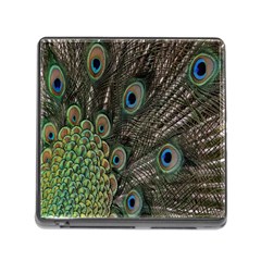 Close Up Of Peacock Feathers Memory Card Reader (square) by Nexatart