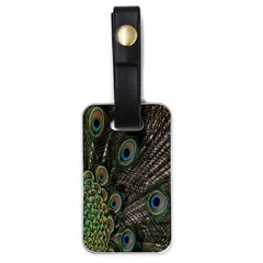 Close Up Of Peacock Feathers Luggage Tags (one Side)  by Nexatart