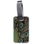 Close Up Of Peacock Feathers Luggage Tags (Two Sides) Front