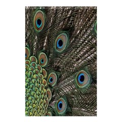 Close Up Of Peacock Feathers Shower Curtain 48  X 72  (small)  by Nexatart