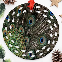 Close Up Of Peacock Feathers Round Filigree Ornament (two Sides) by Nexatart