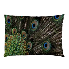 Close Up Of Peacock Feathers Pillow Case (two Sides) by Nexatart