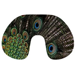 Close Up Of Peacock Feathers Travel Neck Pillows by Nexatart