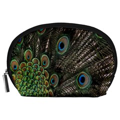 Close Up Of Peacock Feathers Accessory Pouches (large)  by Nexatart