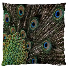 Close Up Of Peacock Feathers Large Flano Cushion Case (one Side) by Nexatart