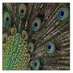 Close Up Of Peacock Feathers Large Satin Scarf (square) by Nexatart