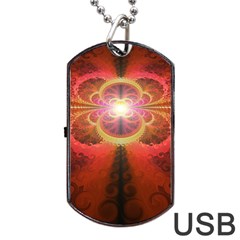 Liquid Sunset, A Beautiful Fractal Burst Of Fiery Colors Dog Tag Usb Flash (one Side)