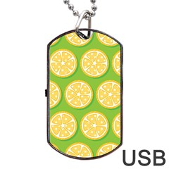 Lime Orange Yellow Green Fruit Dog Tag Usb Flash (two Sides)