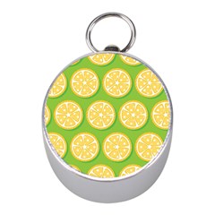 Lime Orange Yellow Green Fruit Mini Silver Compasses by Mariart