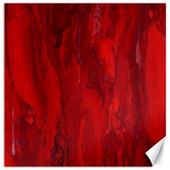 Stone Red Volcano Canvas 12  X 12   by Mariart