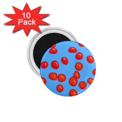 Tomatoes Fruite Slice Red 1 75  Magnets (10 Pack)  by Mariart