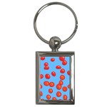 Tomatoes Fruite Slice Red Key Chains (Rectangle)  Front