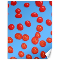 Tomatoes Fruite Slice Red Canvas 12  X 16  