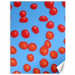 Tomatoes Fruite Slice Red Canvas 36  X 48  