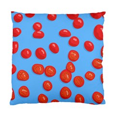 Tomatoes Fruite Slice Red Standard Cushion Case (two Sides) by Mariart