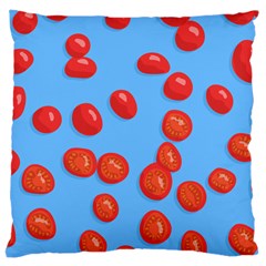 Tomatoes Fruite Slice Red Large Cushion Case (one Side) by Mariart