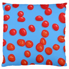 Tomatoes Fruite Slice Red Large Flano Cushion Case (one Side) by Mariart