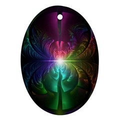 Anodized Rainbow Eyes And Metallic Fractal Flares Oval Ornament (two Sides)