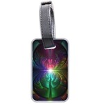 Anodized Rainbow Eyes And Metallic Fractal Flares Luggage Tags (Two Sides) Front