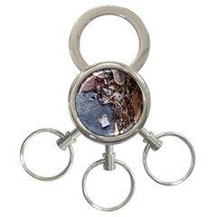 Transition 3-ring Key Chains