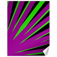 Rays Light Chevron Purple Green Black Canvas 18  X 24  