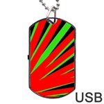 Rays Light Chevron Red Green Black Dog Tag USB Flash (One Side) Front