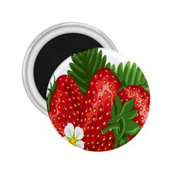 Strawberry Red Seed Leaf Green 2 25  Magnets by Mariart