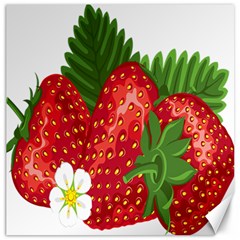 Strawberry Red Seed Leaf Green Canvas 20  X 20   by Mariart