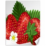 Strawberry Red Seed Leaf Green Canvas 18  x 24   17.8 x23.08  Canvas - 1