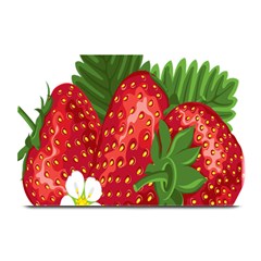 Strawberry Red Seed Leaf Green Plate Mats