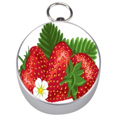 Strawberry Red Seed Leaf Green Silver Compasses by Mariart