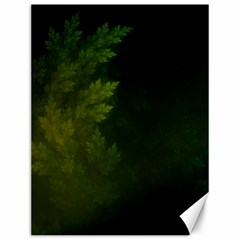 Beautiful Fractal Pines In The Misty Spring Night Canvas 12  X 16   by jayaprime