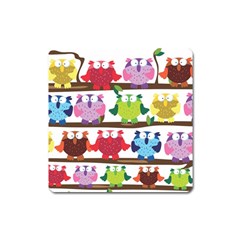 Funny Owls Sitting On A Branch Pattern Postcard Rainbow Square Magnet