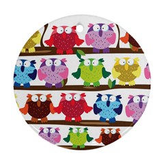 Funny Owls Sitting On A Branch Pattern Postcard Rainbow Round Ornament (two Sides) by Mariart