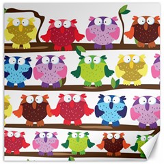 Funny Owls Sitting On A Branch Pattern Postcard Rainbow Canvas 16  X 16  