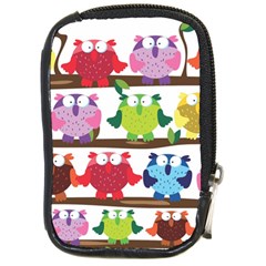 Funny Owls Sitting On A Branch Pattern Postcard Rainbow Compact Camera Cases by Mariart