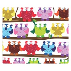 Funny Owls Sitting On A Branch Pattern Postcard Rainbow Double Sided Flano Blanket (small)  by Mariart