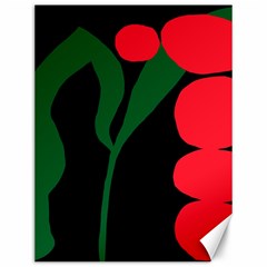 Illustrators Portraits Plants Green Red Polka Dots Canvas 12  X 16   by Mariart