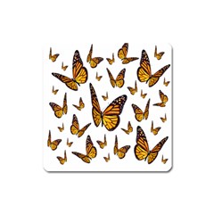 Butterfly Spoonflower Square Magnet