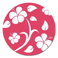 Pink Hawaiian Flower White Magnet 5  (round) by Mariart