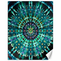 Peacock Throne Flower Green Tie Dye Kaleidoscope Opaque Color Canvas 12  X 16   by Mariart