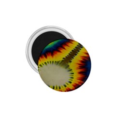 Red Blue Yellow Green Medium Rainbow Tie Dye Kaleidoscope Opaque Color 1 75  Magnets by Mariart