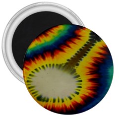 Red Blue Yellow Green Medium Rainbow Tie Dye Kaleidoscope Opaque Color 3  Magnets by Mariart