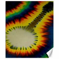 Red Blue Yellow Green Medium Rainbow Tie Dye Kaleidoscope Opaque Color Canvas 8  X 10  by Mariart