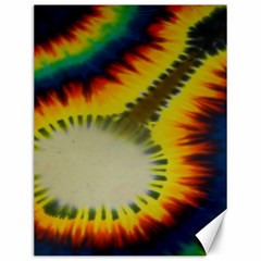 Red Blue Yellow Green Medium Rainbow Tie Dye Kaleidoscope Opaque Color Canvas 12  X 16   by Mariart