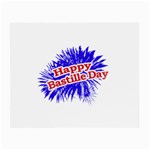 Happy Bastille Day Graphic Logo Small Glasses Cloth Front